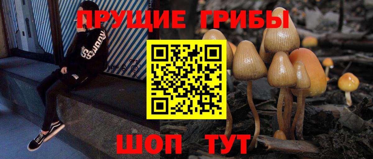 Галлюциногенные грибы прущие грибы Мирный
